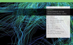 Alternative view 2 of The Brain Book: Development, Function, Disorder, Health