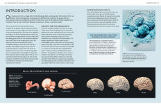 Alternative view 7 of The Brain Book: Development, Function, Disorder, Health