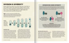 Alternative view 4 of Meet Your Bacteria: The Hidden Communities that Live in Your Gut and Other Organs