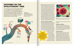 Alternative view 6 of Meet Your Bacteria: The Hidden Communities that Live in Your Gut and Other Organs