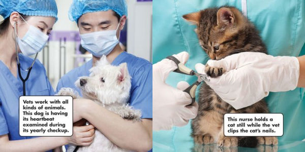 I Want to Be a Vet