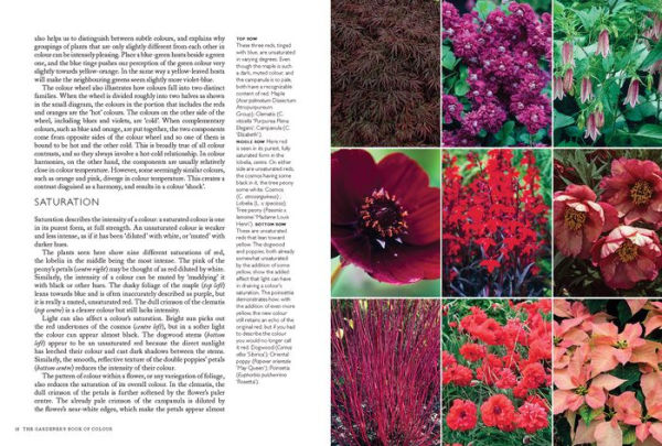 The Gardener's Book of Color