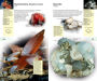 Alternative view 20 of The Firefly Guide to Minerals, Rocks and Gems