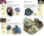 Alternative view 21 of The Firefly Guide to Minerals, Rocks and Gems