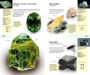 Alternative view 7 of The Firefly Guide to Minerals, Rocks and Gems