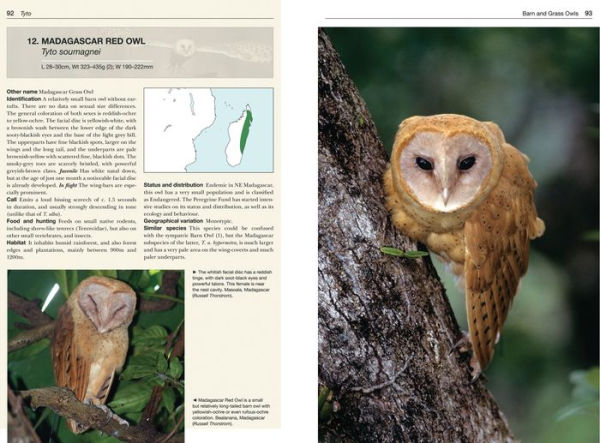 Owls of the World: A Photographic Guide