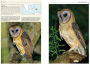 Alternative view 3 of Owls of the World: A Photographic Guide