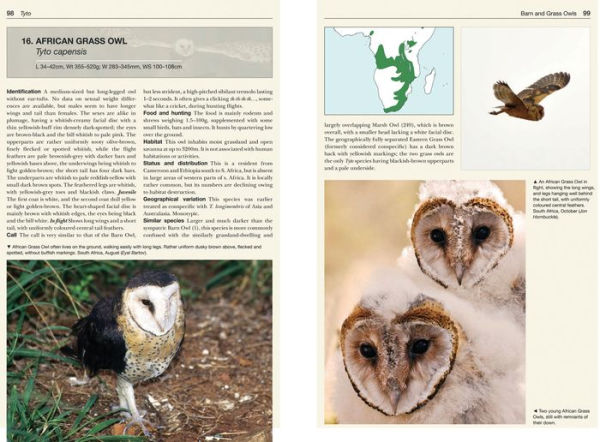 Owls of the World: A Photographic Guide