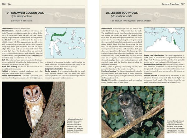 Owls of the World: A Photographic Guide