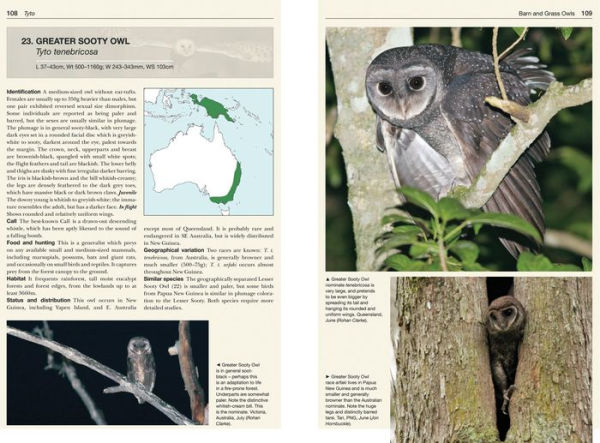 Owls of the World: A Photographic Guide