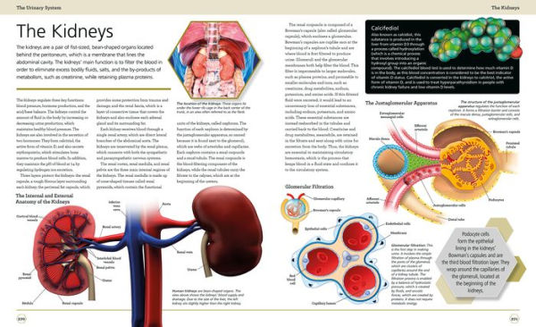 Illustrated Human Anatomy The Authoritative Visual Guide To The Human