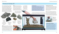 Alternative view 4 of Mini Encyclopedia The Tropical Aquarium: Comprehensive Coverage, from Setting Up an Aquarium to Choosing the Best Fishes