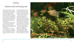 Alternative view 5 of Mini Encyclopedia The Tropical Aquarium: Comprehensive Coverage, from Setting Up an Aquarium to Choosing the Best Fishes