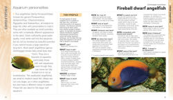 Alternative view 2 of What Saltwater Fish?: A Buyer's Guide to Saltwater Aquarium Fish