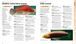 Alternative view 3 of What Saltwater Fish?: A Buyer's Guide to Saltwater Aquarium Fish