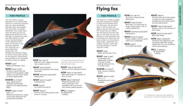 What Freshwater Fish?: A Buyer's Guide to Tropical Aquarium Fish