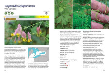 Alternative view 2 of The Gardener's Guide to Native Plants of the Southern Great Lakes Region