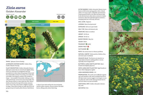 The Gardener's Guide to Native Plants of the Southern Great Lakes Region