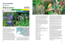 Alternative view 7 of The Gardener's Guide to Native Plants of the Southern Great Lakes Region