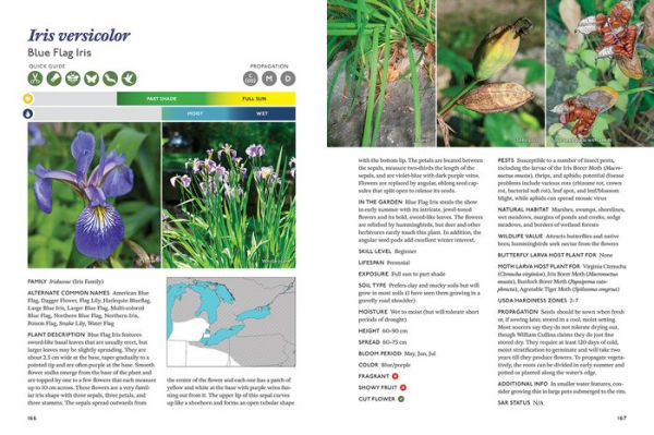 The Gardener's Guide to Native Plants of the Southern Great Lakes Region