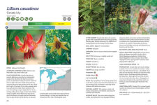 Alternative view 9 of The Gardener's Guide to Native Plants of the Southern Great Lakes Region
