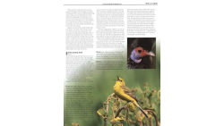 Alternative view 5 of Firefly Encyclopedia of Birds