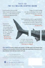 Alternative view 2 of The $12 Million Stuffed Shark: The Curious Economics of Contemporary Art