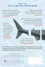 Alternative view 3 of The $12 Million Stuffed Shark: The Curious Economics of Contemporary Art