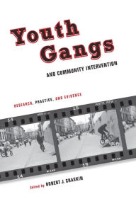 Title: Youth Gangs and Community Intervention: Research, Practice, and Evidence, Author: Robert Chaskin 