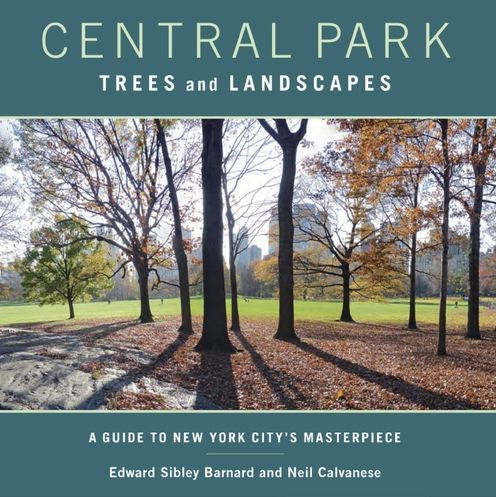 Cedar Hill  Central Park Conservancy