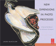 New Dimensions in Photo Processes: A Step by Step Manual for Alternative Techniques / Edition 4