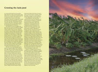 Alternative view 5 of East Winds: Recipes, History and Tales from the Hidden Caribbean
