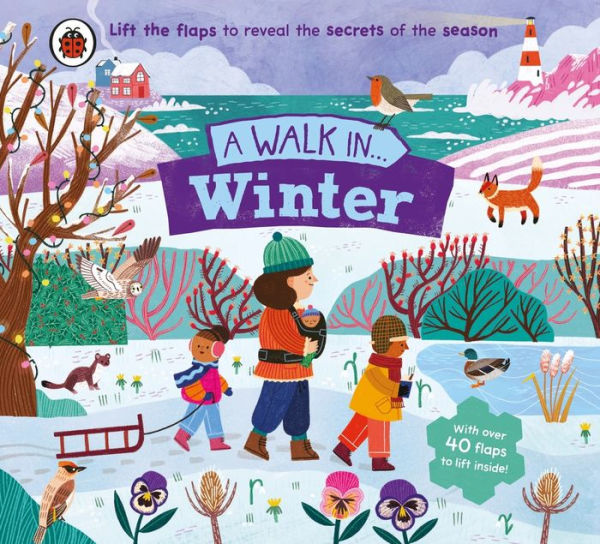 A Walk in Winter: Lift the flaps to reveal the secrets of the season