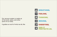 Alternative view 2 of A Kids Book About Nervous System Regulation