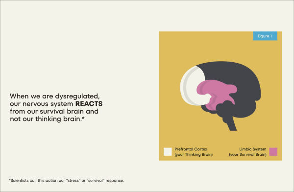A Kids Book About Nervous System Regulation