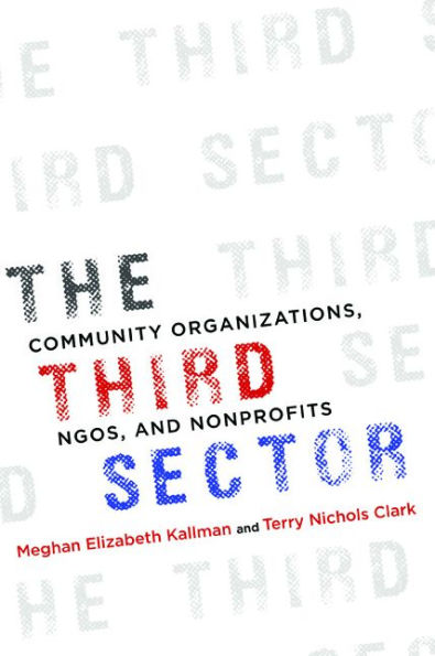 The Third Sector: Community Organizations, NGOs, and Nonprofits