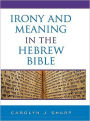 Irony and Meaning in the Hebrew Bible