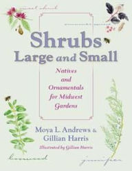 Title: Shrubs Large and Small: Natives and Ornamentals for Midwest Gardens, Author: Moya L. Andrews
