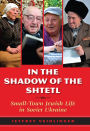 In the Shadow of the Shtetl: Small-Town Jewish Life in Soviet Ukraine