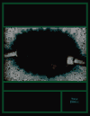 Using Information Technology: A Practical Introduction To Computers and Communications / Edition 3