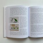 Alternative view 5 of Not Here, Not Now: Speculative Thought, Impossibility, and the Design Imagination