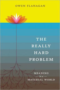 The Really Hard Problem: Meaning in a Material World