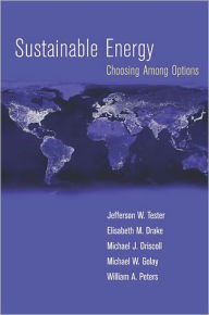 Sustainable Energy: Choosing Among Options / Edition 1