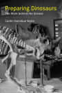 Preparing Dinosaurs: The Work behind the Scenes