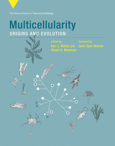 Multicellularity: Origins and Evolution