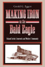 Making Iron on the Bald Eagle: Roland Curtin's Ironworks and Workers' Community