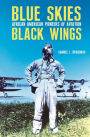 Blue Skies, Black Wings: African American Pioneers of Aviation