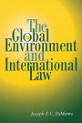 Global Environment And International Law / Edition 1