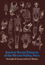 Ancient Burial Patterns of the Moche Valley, Peru