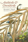 Antbirds and Ovenbirds: Their Lives and Homes